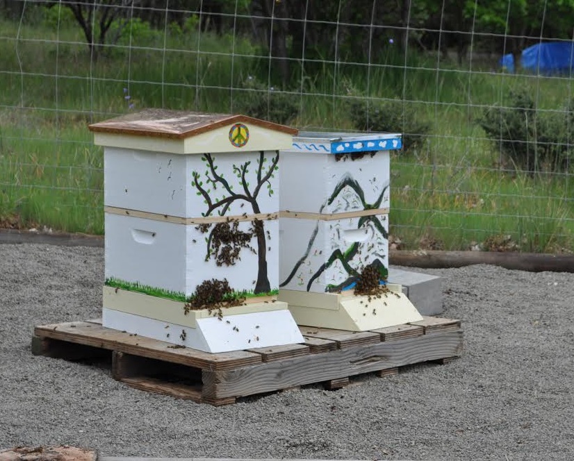 Ashland Hive Registration Southern Oregon Beekeepers Association