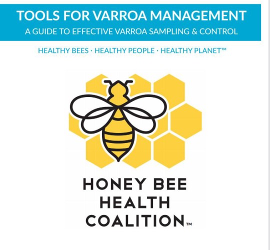 Honey Bee Control, Management, & Treatment: Honey Bee Info